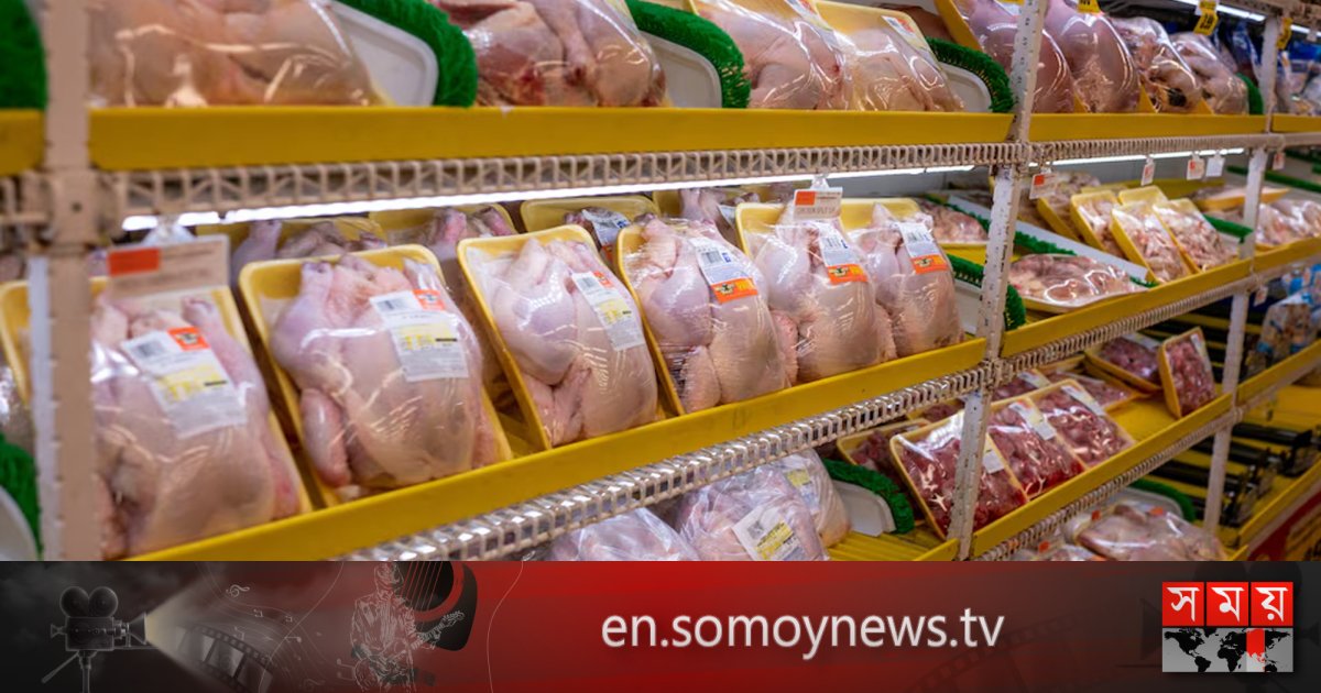 xem đá gà thomo mới nhất hôm nay xem đá gà thomo mới nhất hôm nay