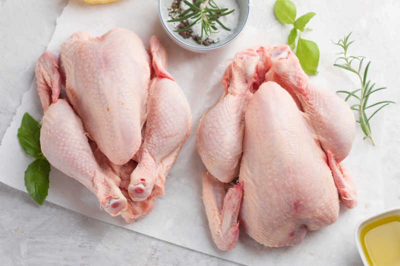 đá gà tre trực tiếp thomo 999 hôm nay đá gà tre trực tiếp thomo 999 hôm nay