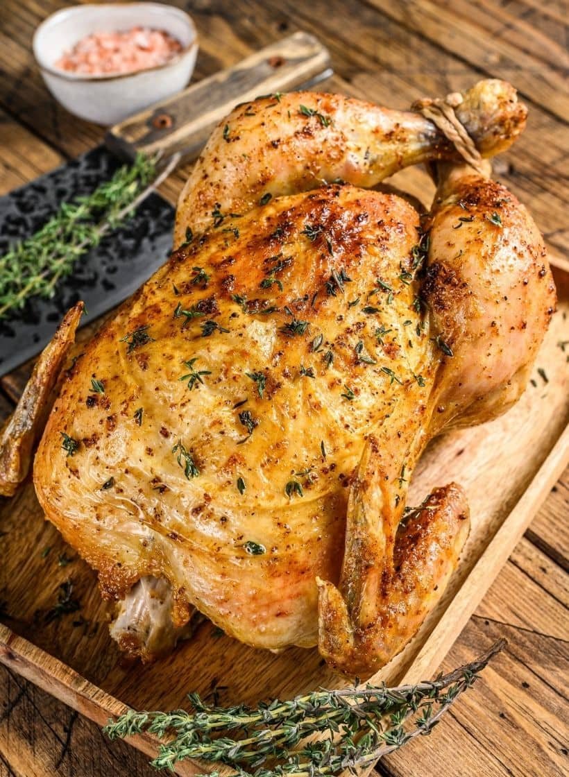 xem trực tiếp đá gà thomo 999 xem trực tiếp đá gà thomo 999