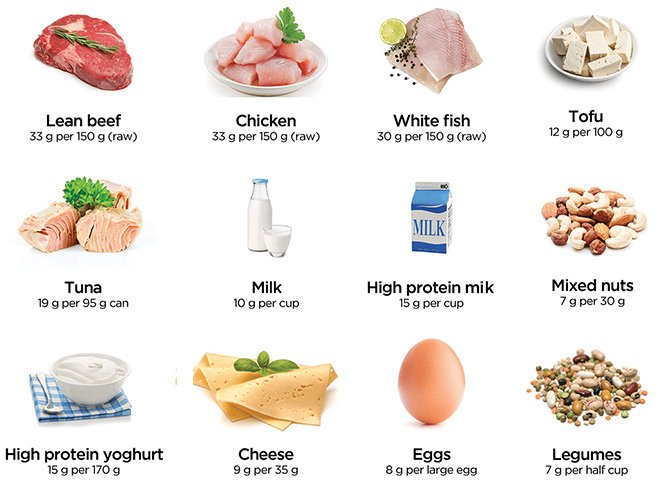 sơ đồ lai tạo gà đá f1 sơ đồ lai tạo gà đá f1