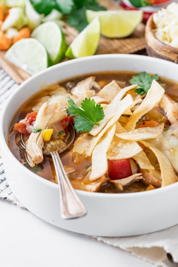gà đá hay nhất thái lan gà đá hay nhất thái lan