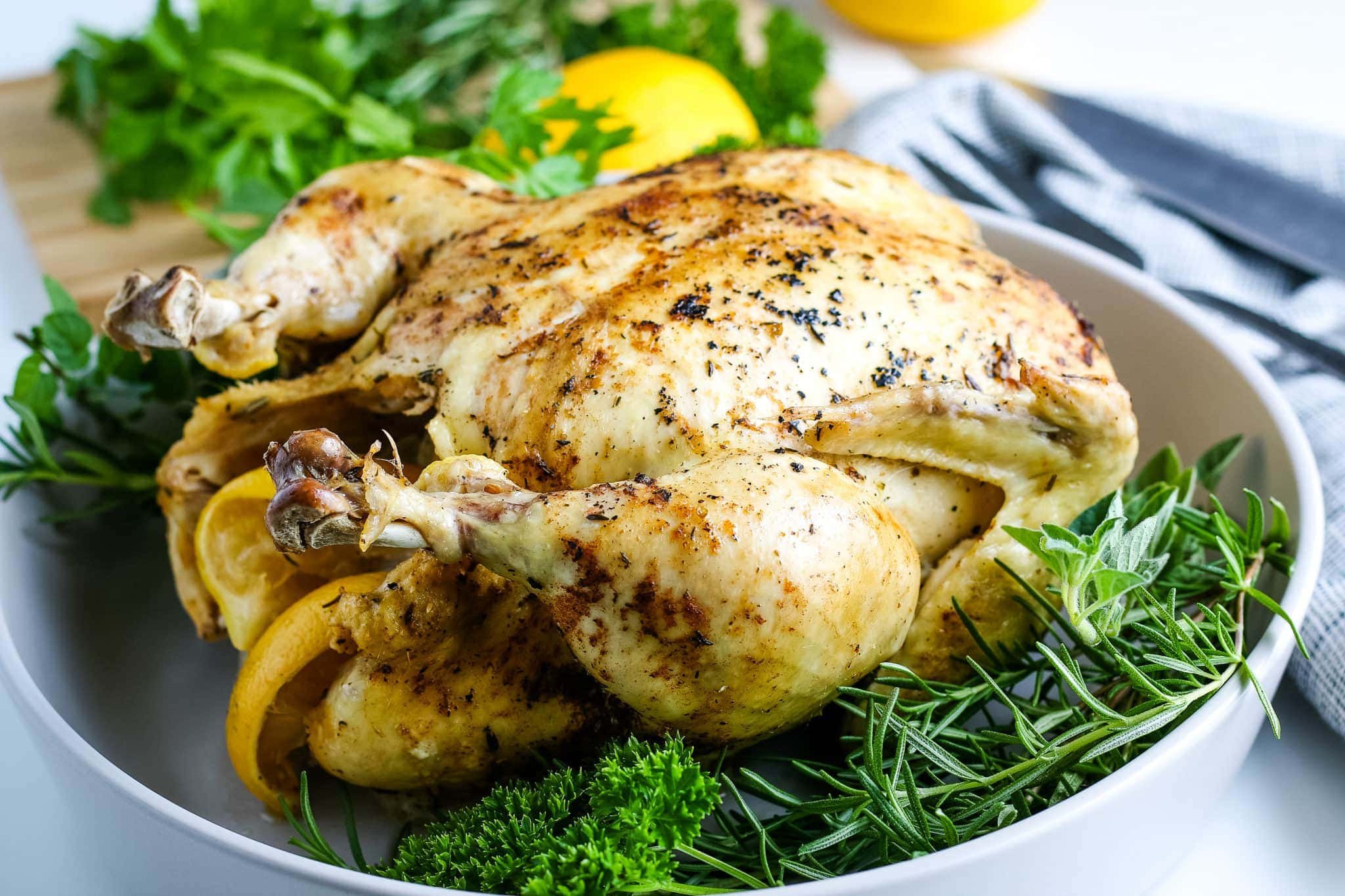 gà đá cựa sắt cà mau gà đá cựa sắt cà mau