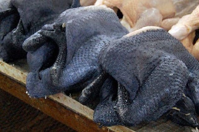 học cách chơi gà nồi đá học cách chơi gà nồi đá