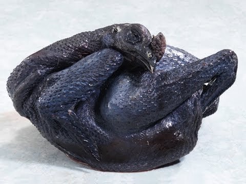 cách vô nghệ cho gà đá cựa sắt cách vô nghệ cho gà đá cựa sắt